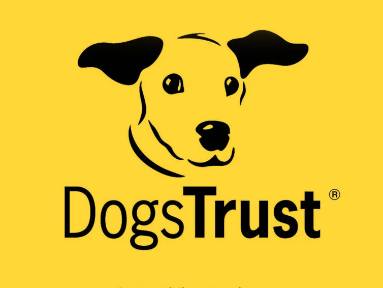 Dogs Trust Darlington – HVAC BeMS System